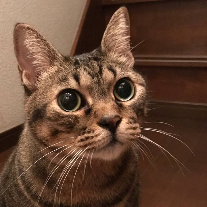 73588a53 dfcc 406e 962a 3e9d8726e9f9 1663678404463