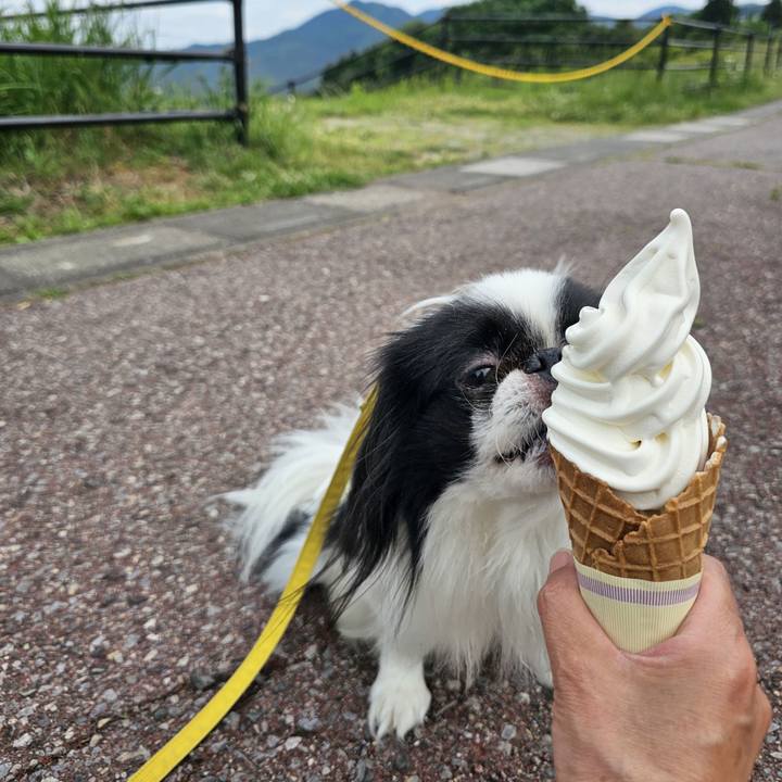 73589e7b 8883 4c03 b92a daa27dfa2301 1717337507480