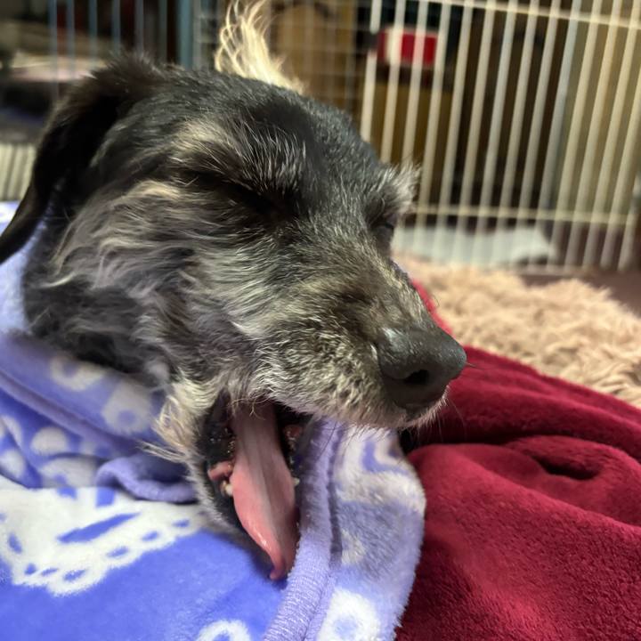 7358bb73 6832 4db0 84a5 a0bc2f303f61 1737155656132