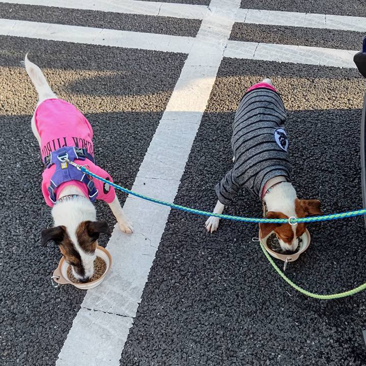 7358cd63 7585 4296 a5fe 9523124dba01 1649541227814