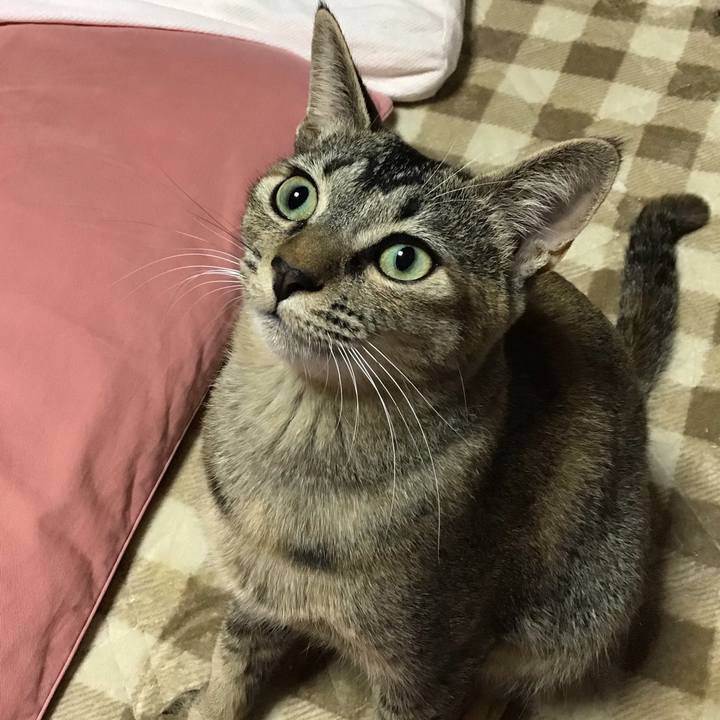 73592975 8b6b 4432 9783 510ce8d1e71d 1574722871606