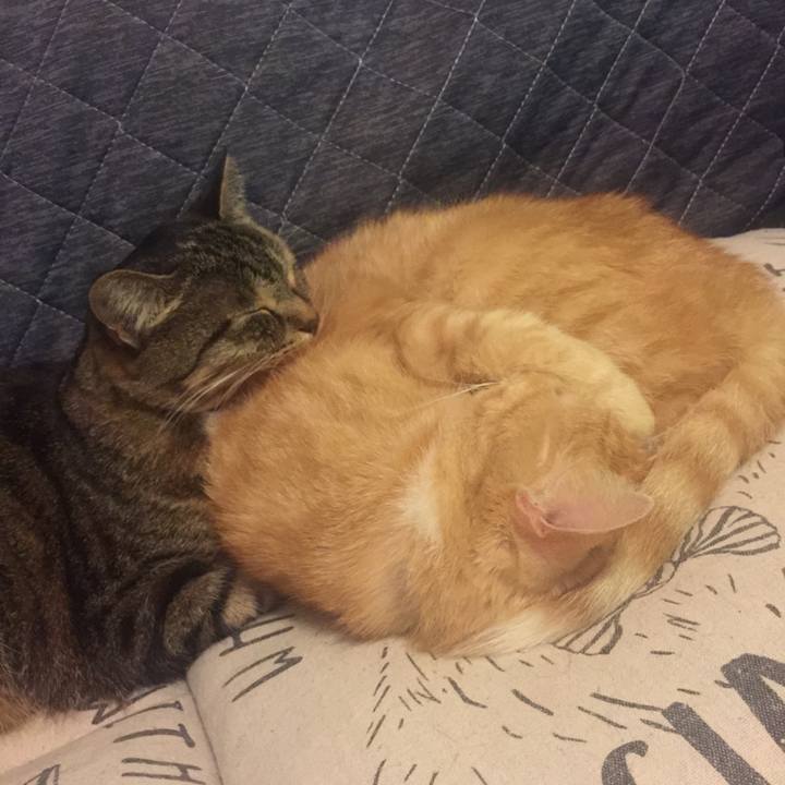 73594539 85c6 40c4 a83d 61767f710b92 1572605587051