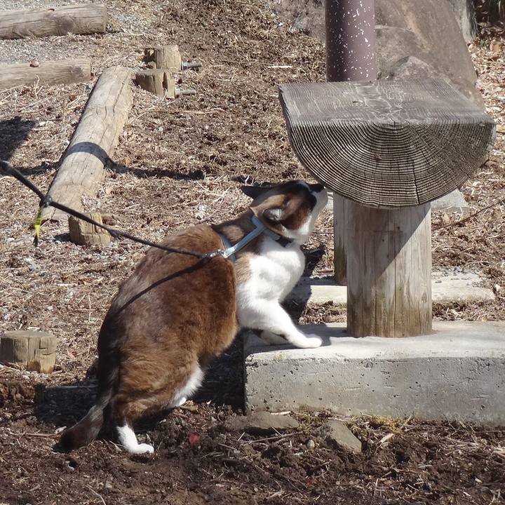 73595dc9 4091 42b7 bee1 b468de16a9dc 1552953655551