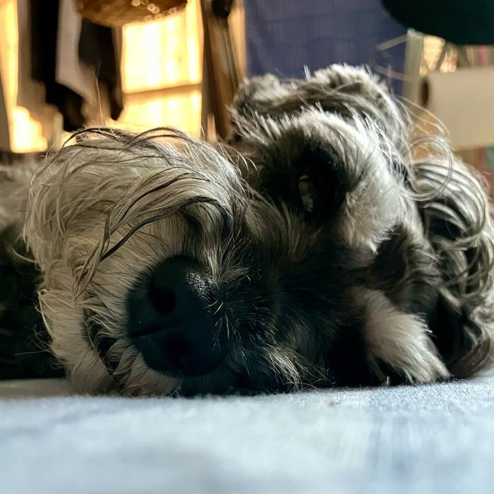 73596211 9669 4017 9ac8 2ce3bbf8e528 1724573667566