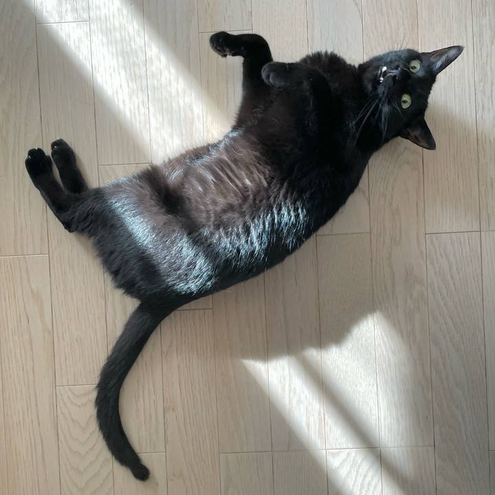 7359bc0a 7bdc 4bb1 9e09 e867631e582e 1651587692266