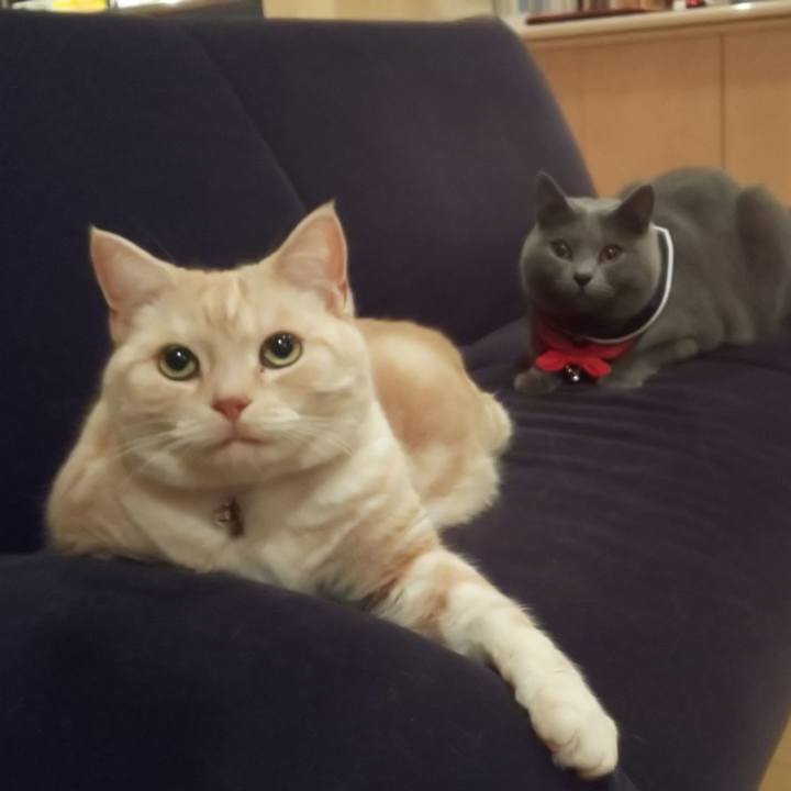 7359cdb3 c199 4c5e 9107 f4416cf41423 1542618690850