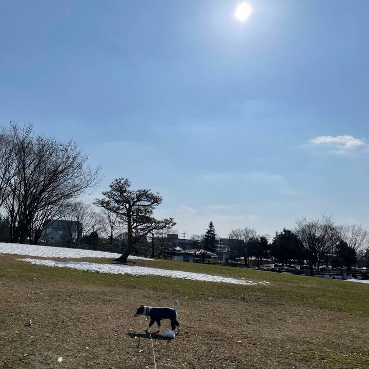 7359e7fb abc3 4e04 aea5 c409a4db0846 1644824868140