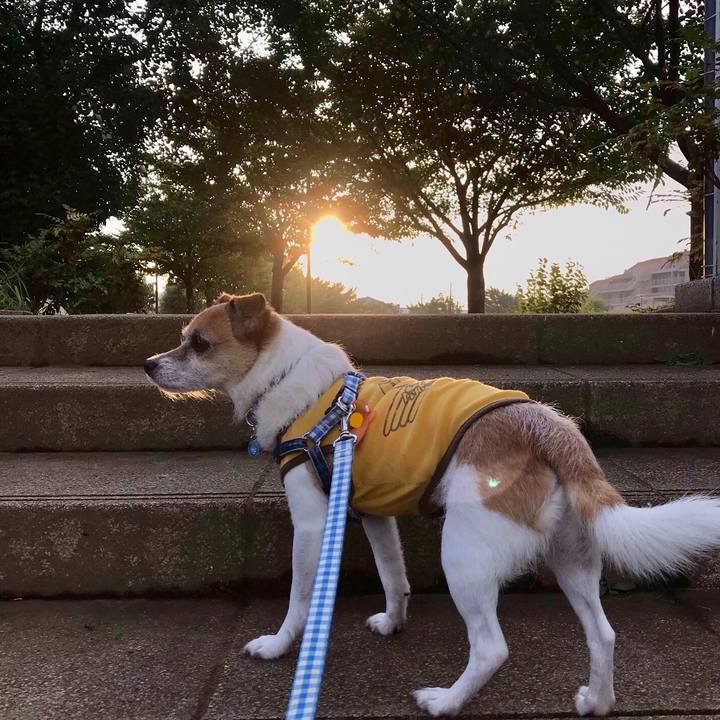 7359f9d0 8dda 4d25 8c69 57c09ca858dd 1567029909188