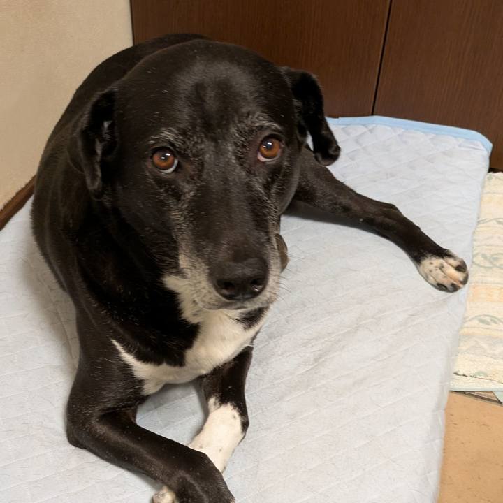 735a0144 86b9 497c 861e b5117e396770 1751453548932