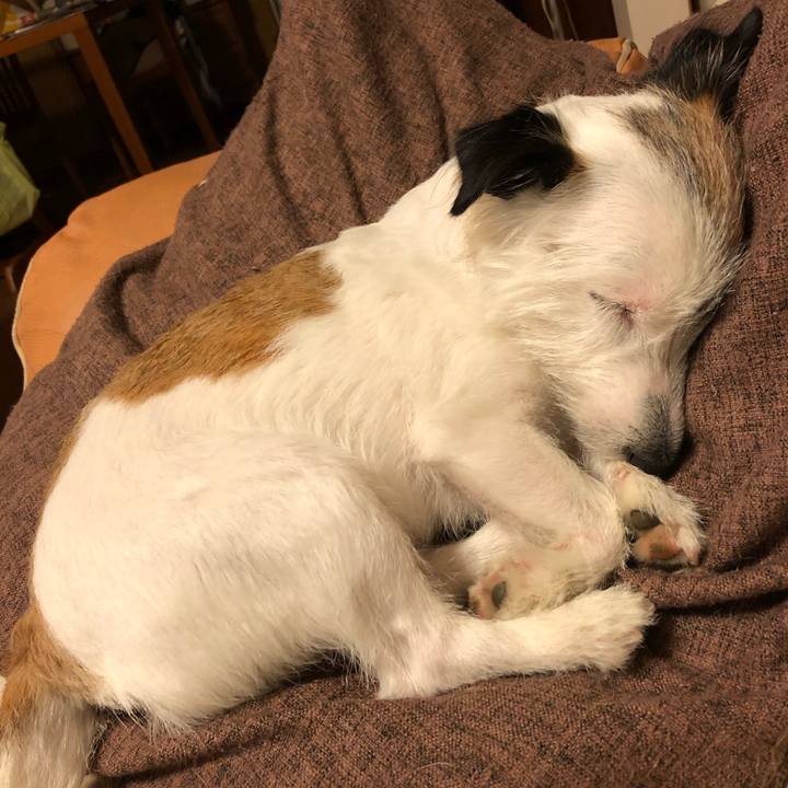 735a0bfc 907a 4255 91ec 01bfacc9b14f 1593351675609