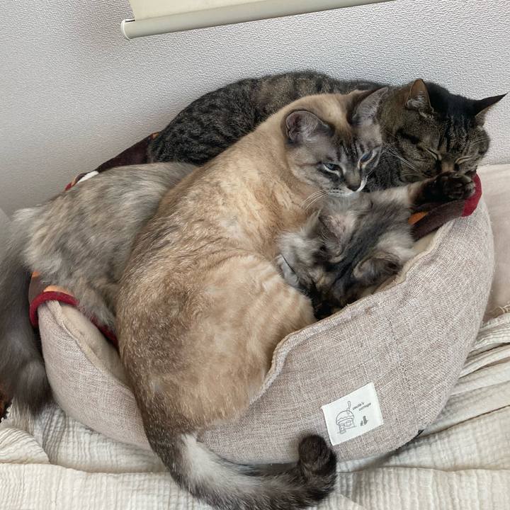 735a38fd 9dc5 4bf4 99f1 8368e37fdbf1 1775100784743