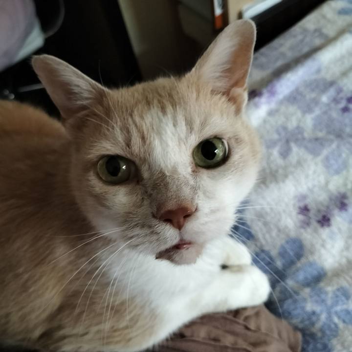 735a3ef5 df14 4de3 981c 2b570980f4ef 1656806773208