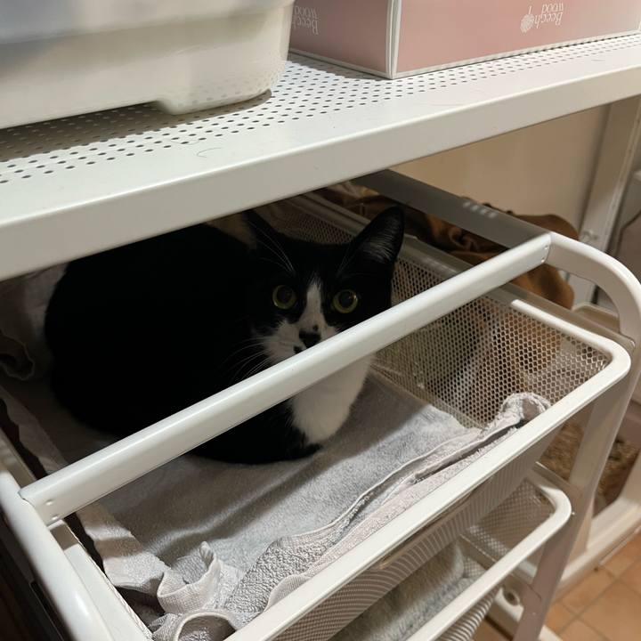 735a538f 84e8 4370 9042 e61d0b743262 1744590885582