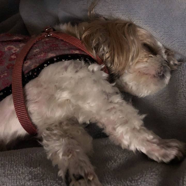 735a6377 a417 4d02 b915 b096b4ffa861 1544738026334