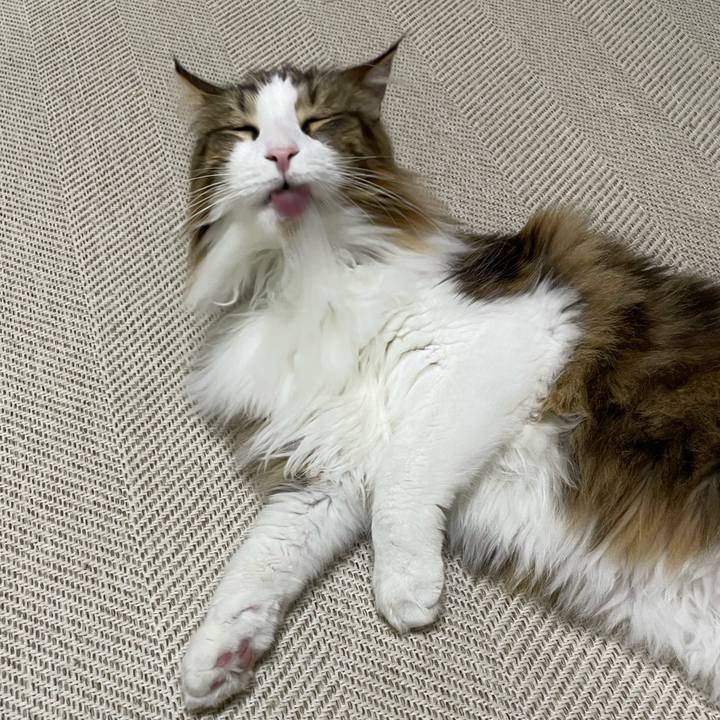 735a6cab a49d 41df ba1c 858dabd5e9c3 1669926207037