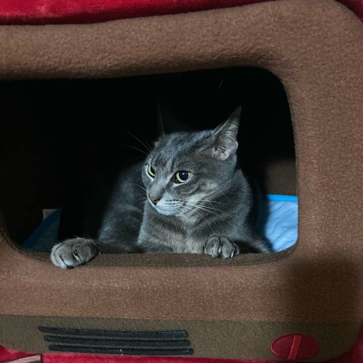 735a89ee 97e8 4c5b b6ee 69a15bfe2afa 1630842058154