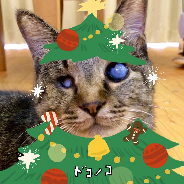 735ac2e9 31d6 47b5 9506 8eb649197b32 1761289659159