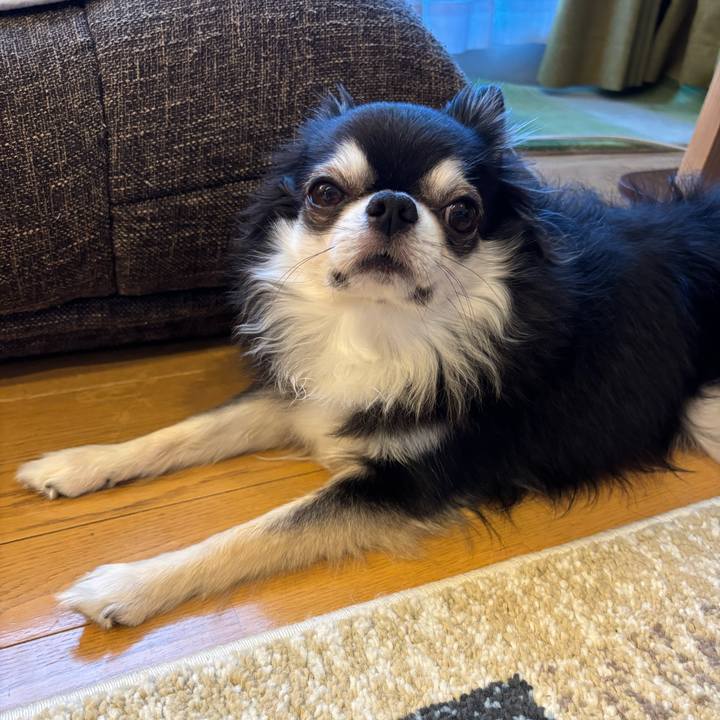 735acbad 283c 4c4b afb4 3f5adf0139c7 1758471637269