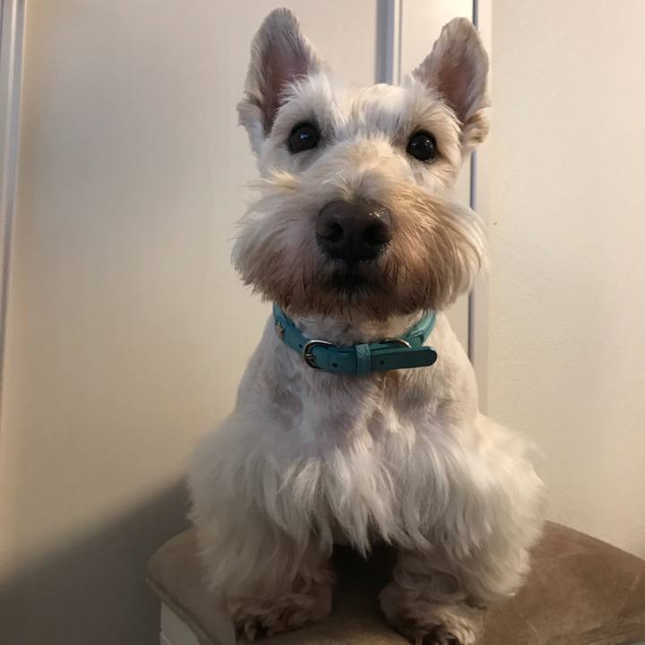 735adc3c 826d 470f 9790 30172c443da8 1532476813485