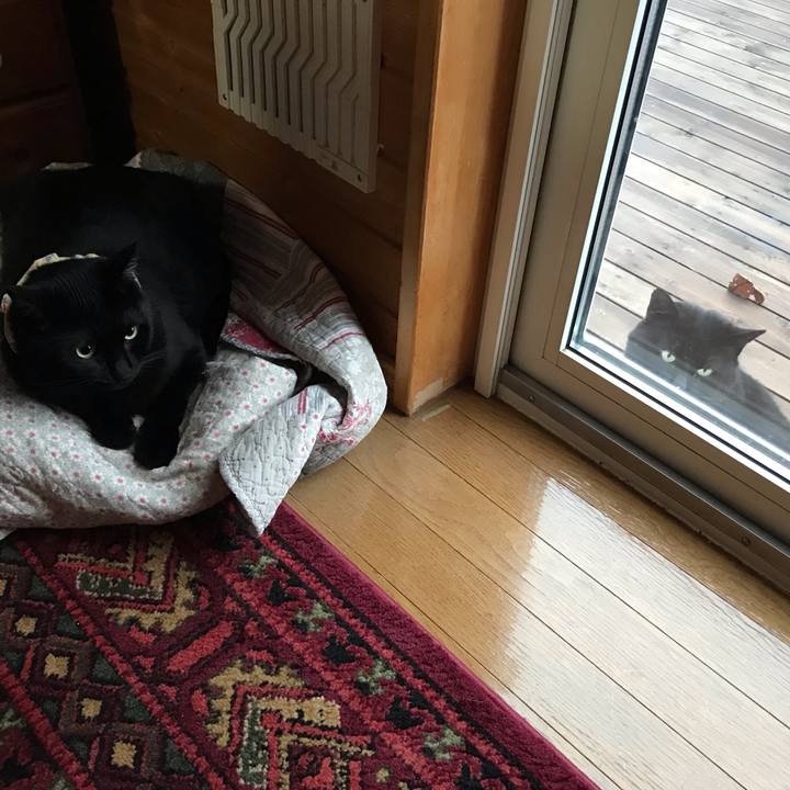 735b691f c070 434b 9224 428e7833c86d 1637575462801