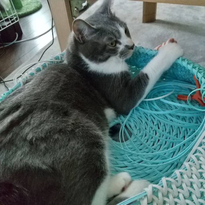 735bb61a 396b 4009 8aa3 2cf29983031e 1621069125301