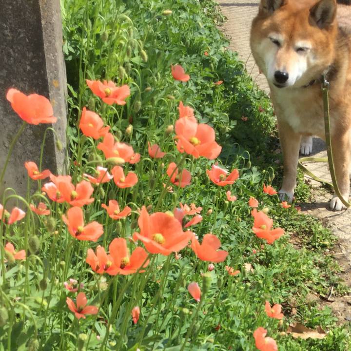 735bffc4 5675 483f af44 0a0695a07ee5 1586402468058