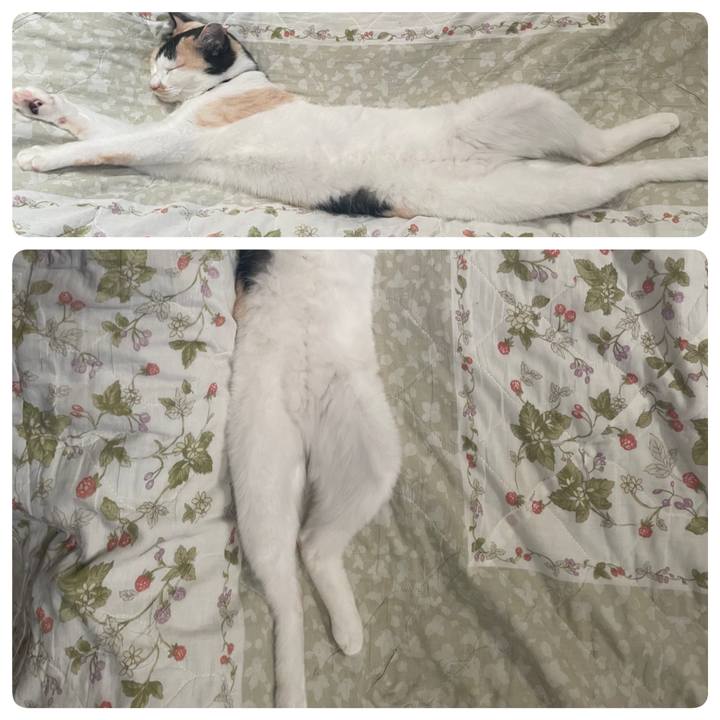 735c4bfc 70ab 47d6 b1ec 3d7204e522f4 1717119603170