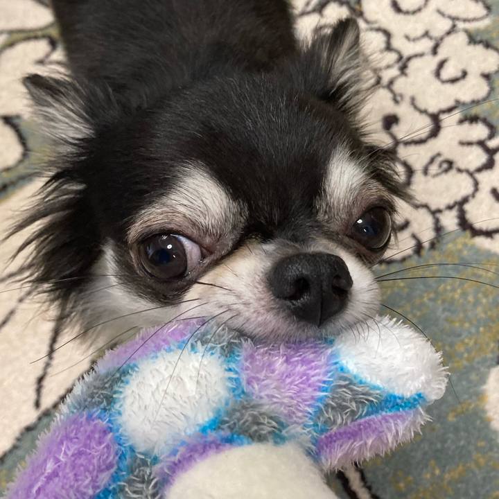 735c525b fd42 4b09 a7d6 c0747e9bae30 1631336394140