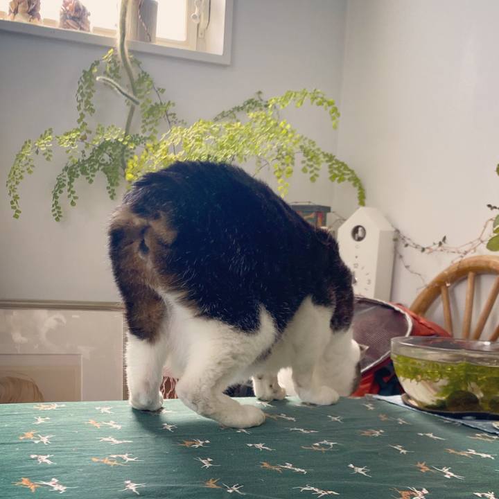 735c9348 d3e5 492e 96b1 b11f4ff001aa 1619069842945