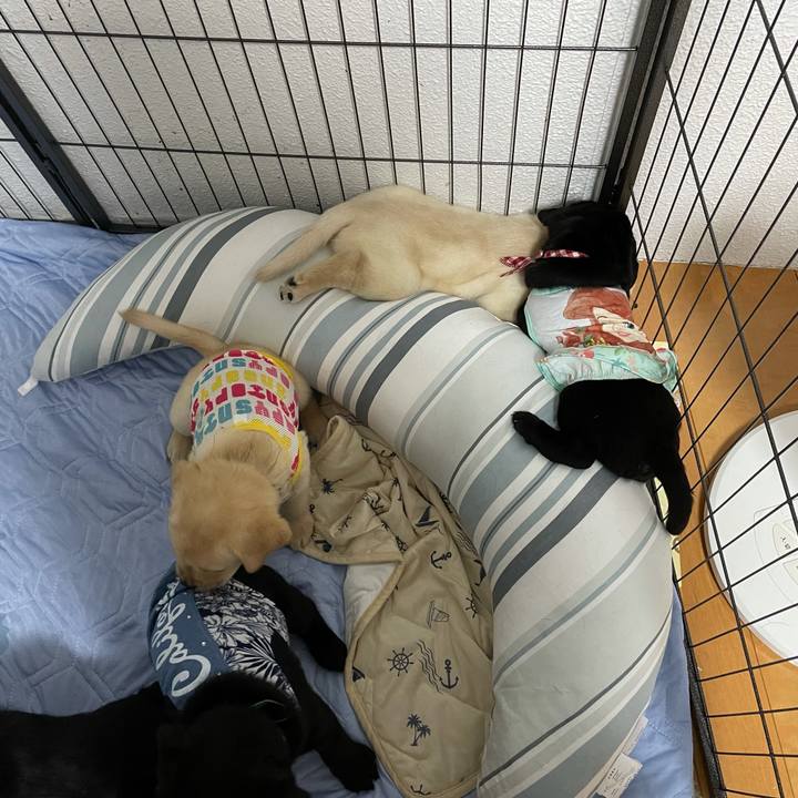 735c9ff0 618d 4c62 be02 6fc4cd5fee3b 1628666774283