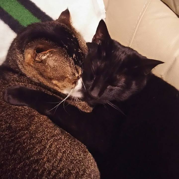 735cbacc e628 4c19 bc68 5903d527440e 1520003659205