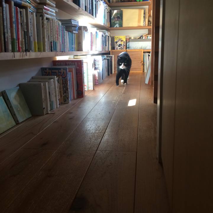 735ccfb1 e34f 40d4 8639 a06e4724a766 1573344435342