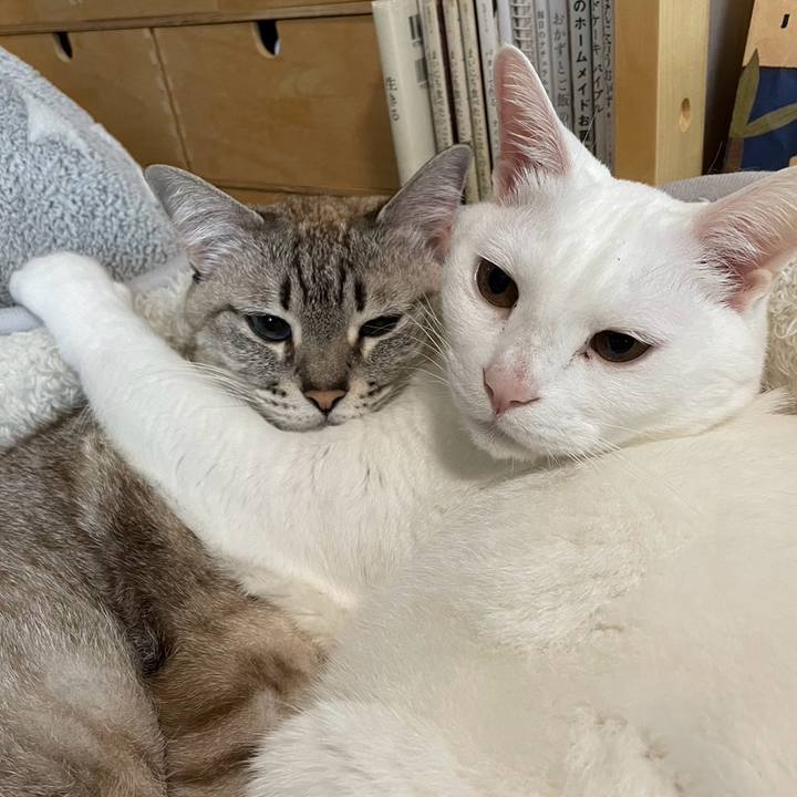 735cdfa4 5a8e 457b ab52 763ad1bf8cbe 1708567473354