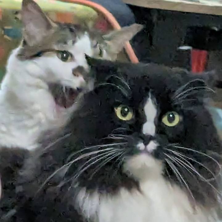 735ce035 45d1 4204 93e5 cbf0f301a5c6 1757930769826