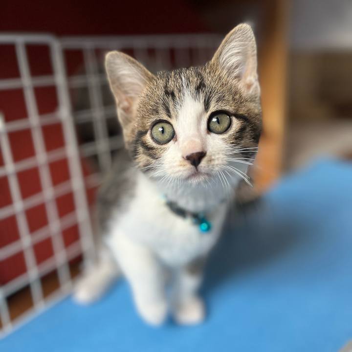 735cf9ea ac32 476f 9ef6 acf0f3194a80 1766444248278