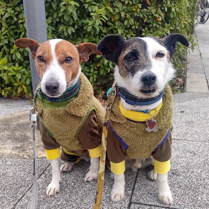 735d212b db75 490c bf01 d12ee9154fa1 1707086790377