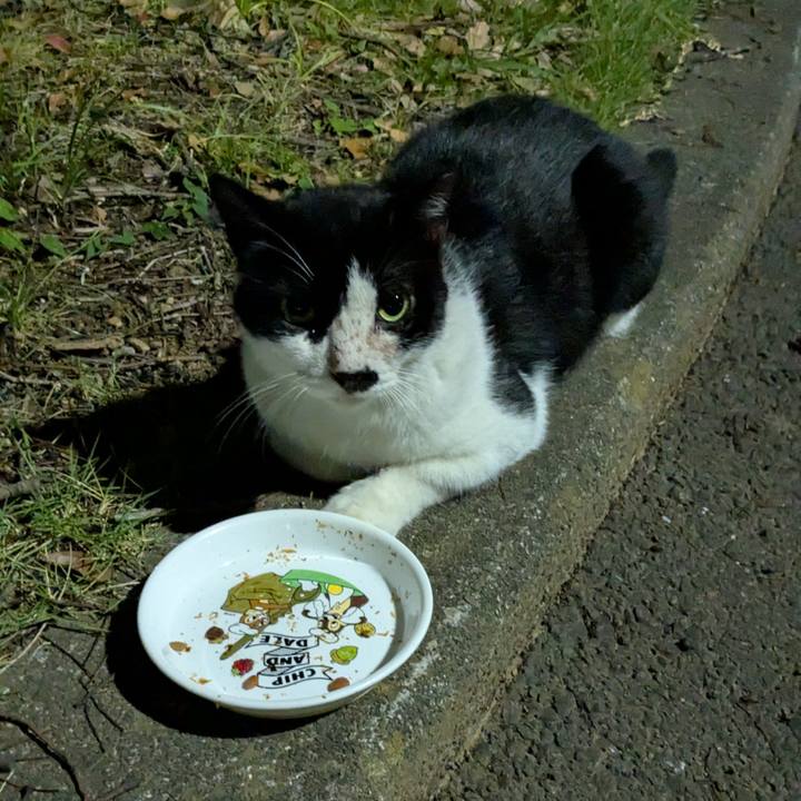 735d33fd 063d 4b1f 8a9f 76ddab5af9ff 1757348716689