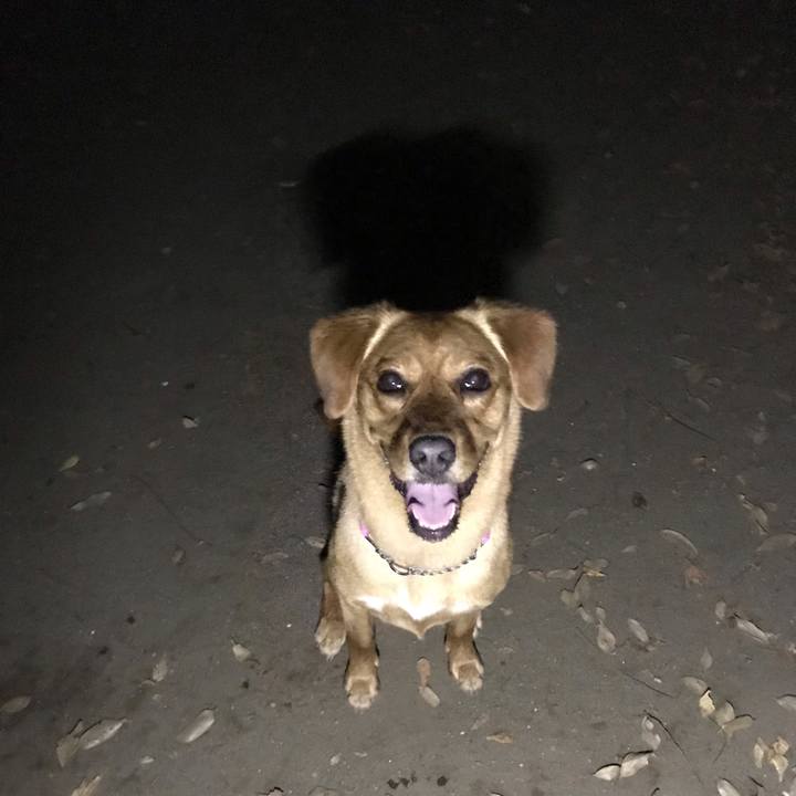 735d5c68 2ef9 4d53 b66d a3fa076a7616 1558781975579