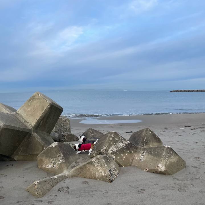 735dbcf5 10aa 43eb af8b 12caf43c7e8c 1738539322950