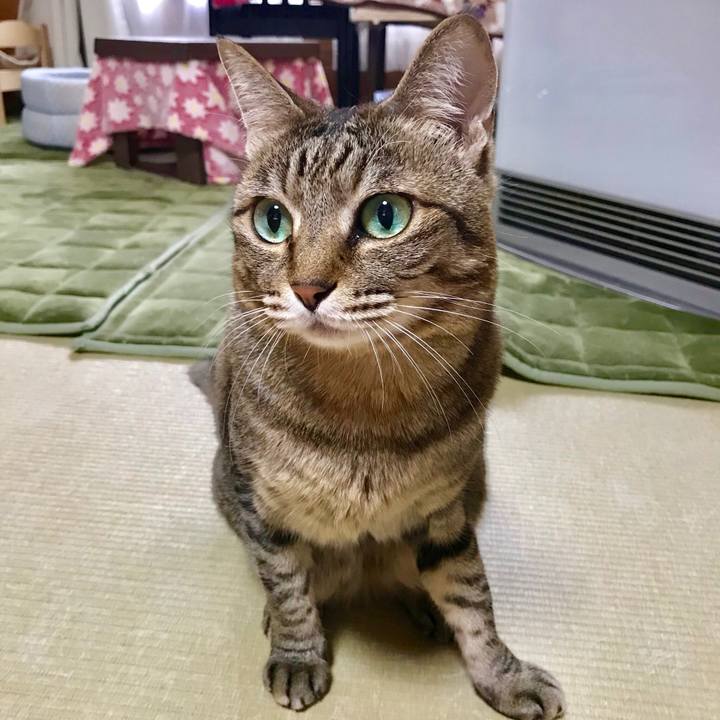 735dc613 890a 497c 896c 383277296f2a 1523256940087