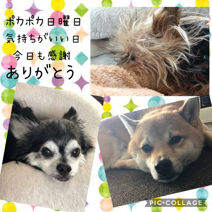 735dc859 e601 4a52 9d64 8928e84b4c1e 1550983031090