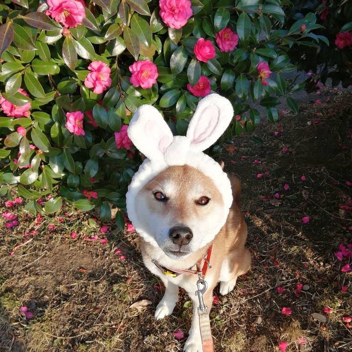 735dc9fa c223 4652 a2e5 34d1f7ea0b56 1674631323806