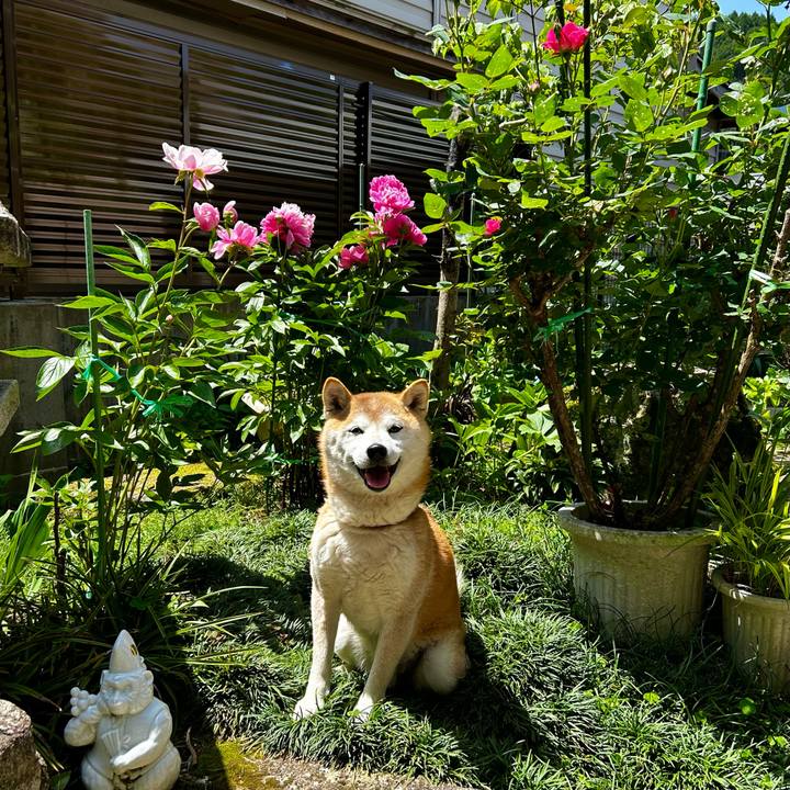 735dd239 abe8 48ec bb3b 85c0fb38b7c6 1715934536273