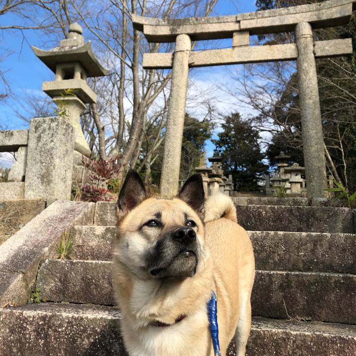 735de8c2 dbb8 42c7 ad22 e42b1ab0fd16 1609493374748