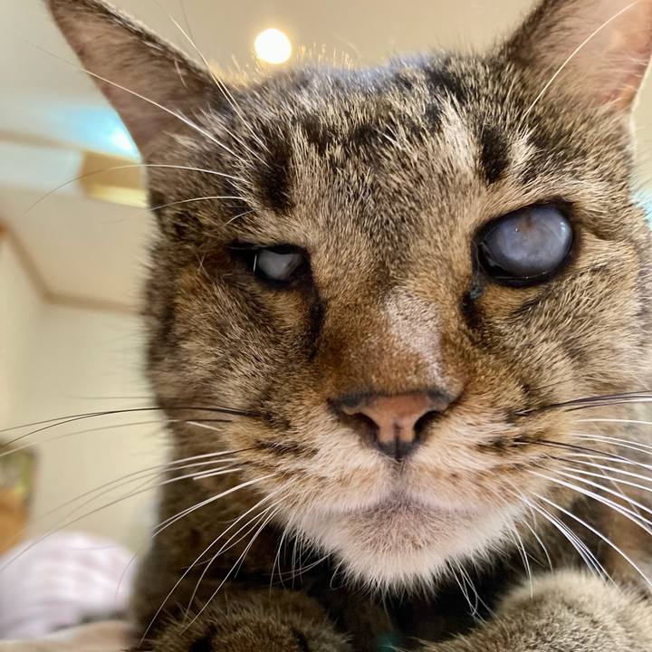 735e2296 8c26 455f a57c f27931006b3e 1634819249024