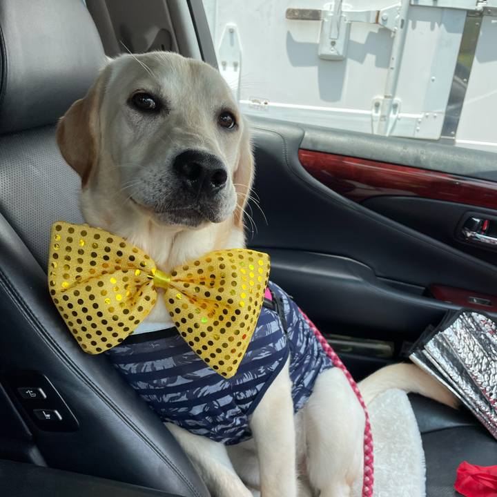 735e28d9 9090 49f6 b798 3be544c7de75 1624325732186