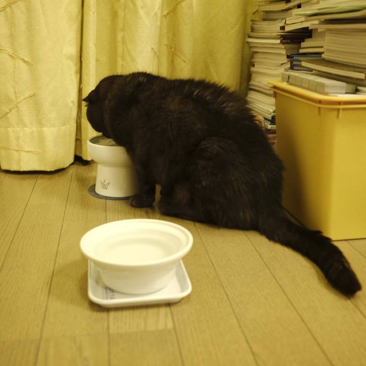 735e407d e3a9 4b2a 82d4 0bcc3fd9cd92 1642515348191