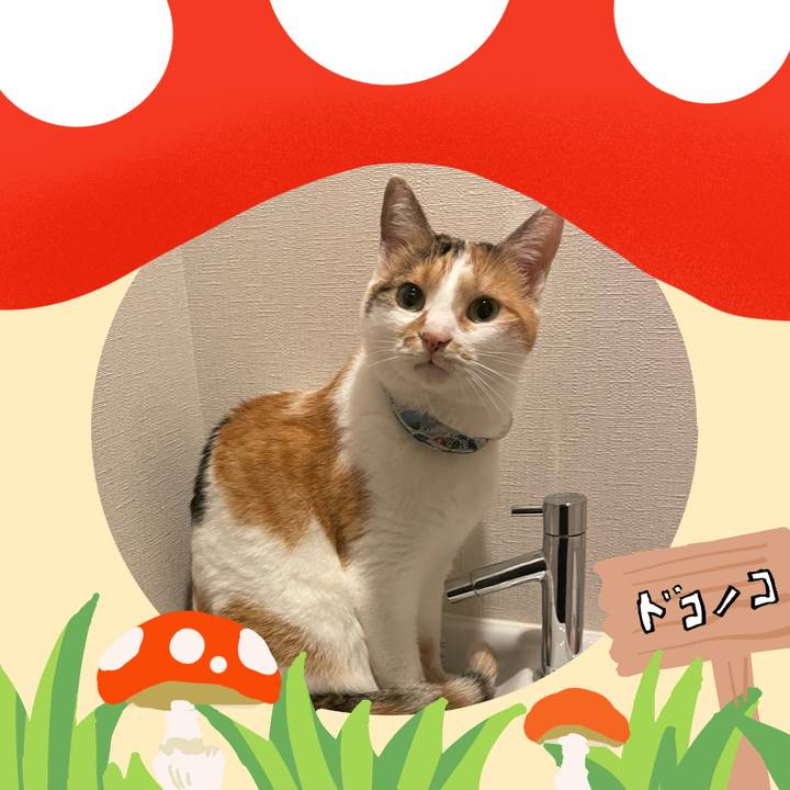 735e4474 41a0 4f1a 9cb4 a6bb63819781 1729083088826