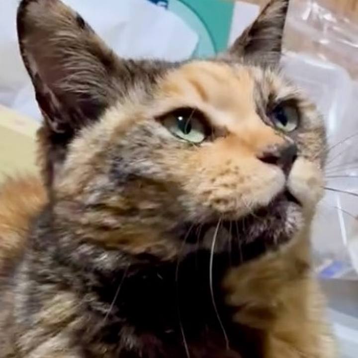 735e4b65 6e9c 4371 84cb bcd6826df8d7 1773783195505