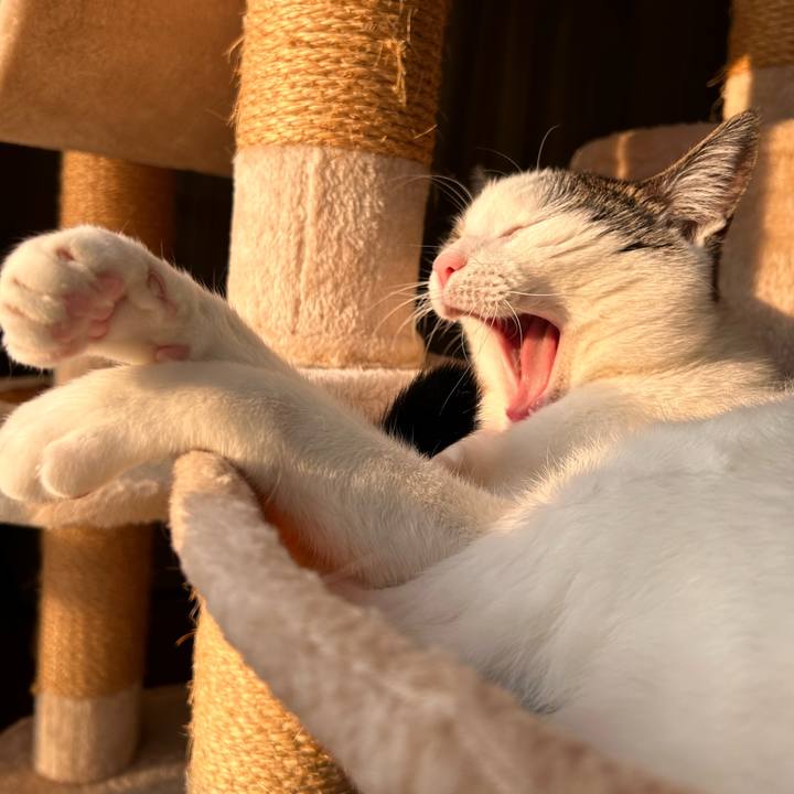 735e5da2 6439 4289 835e b089503cd9a9 1737616704851